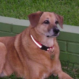 Meet your Posher, Mariela